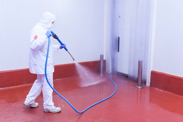 Trusted Clovis, CA Pressure Washing Services Experts
